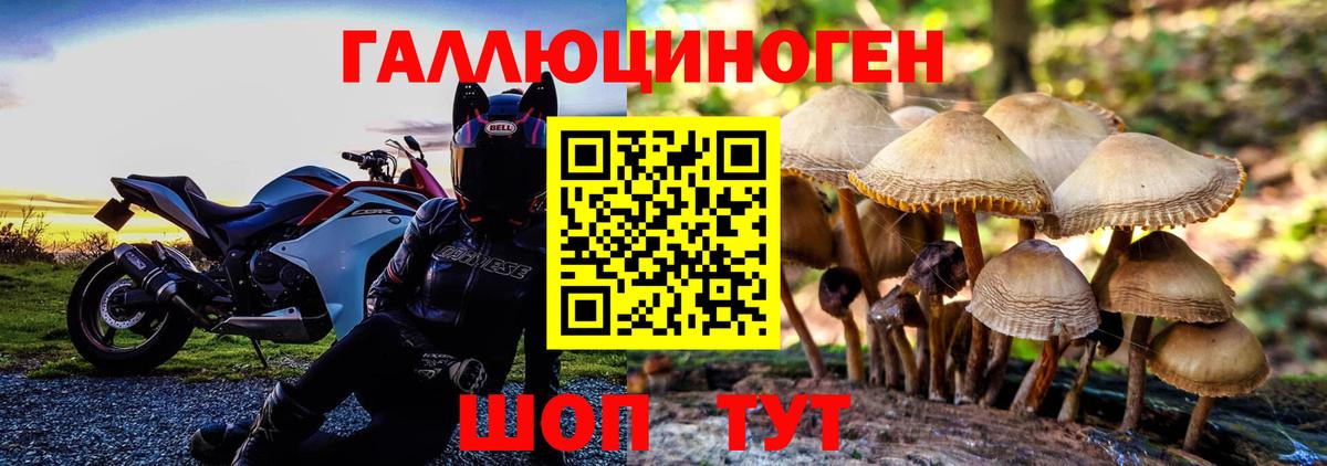 Егорьевск  Галлюциногенные грибы MAGIC MUSHROOMS  Псилоцибиновые грибы прущие грибы  Вход с VPN 